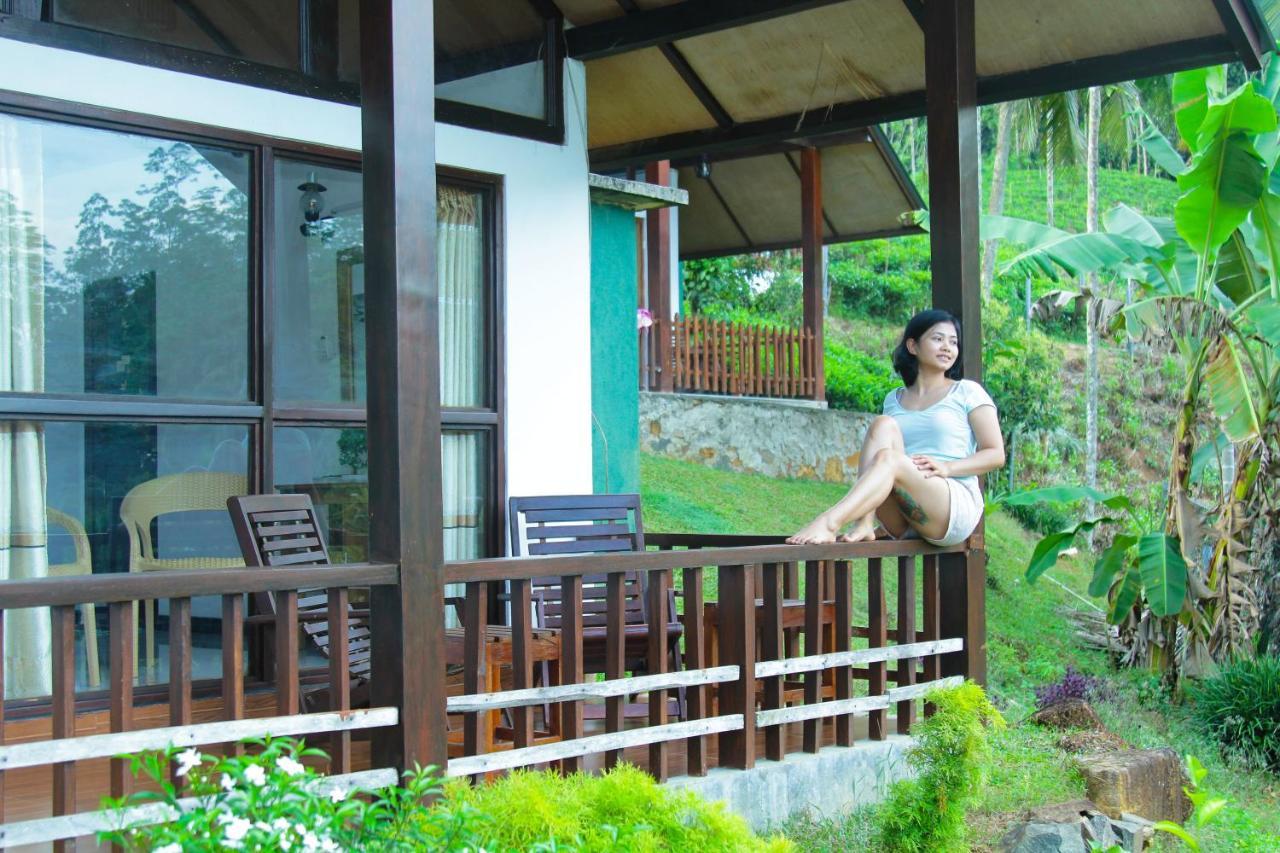 Rainforest Mount Lodge 데니야야 외부 사진