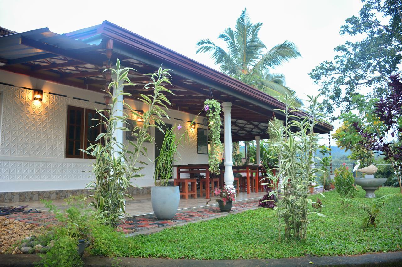 Rainforest Mount Lodge 데니야야 외부 사진