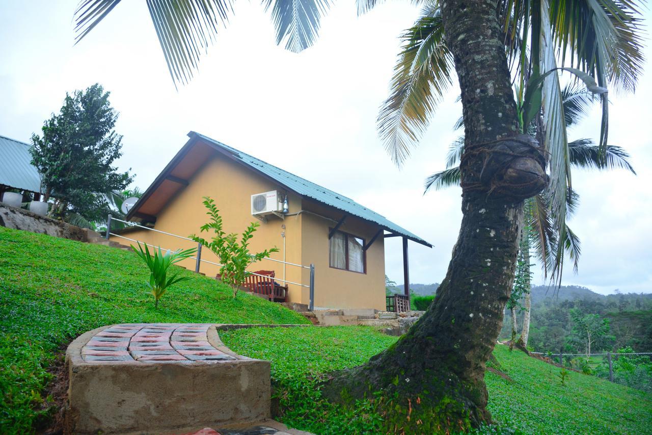 Rainforest Mount Lodge 데니야야 외부 사진