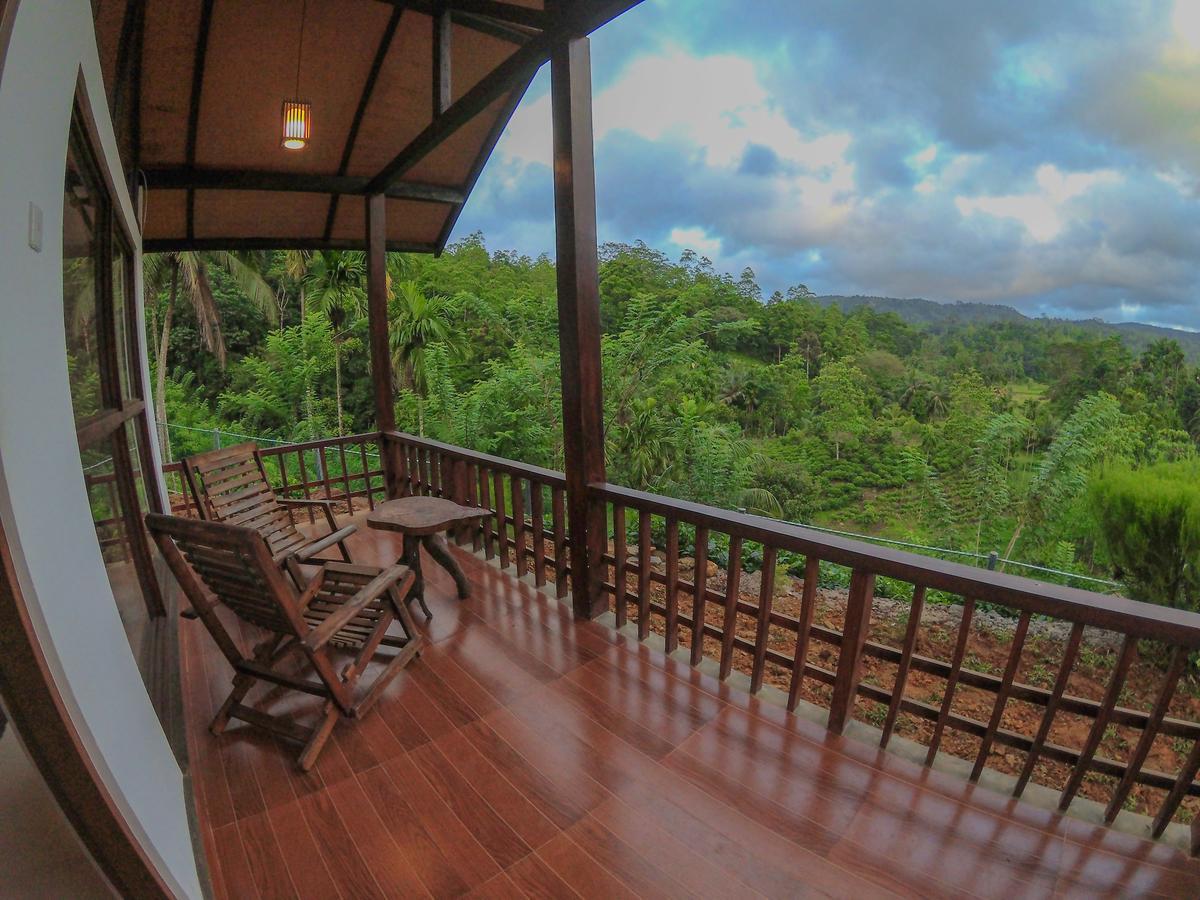 Rainforest Mount Lodge 데니야야 외부 사진