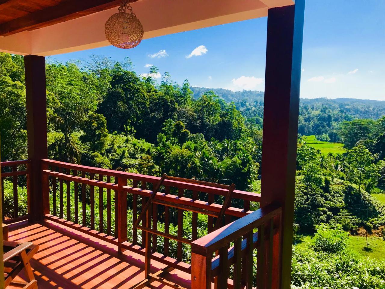 Rainforest Mount Lodge 데니야야 외부 사진