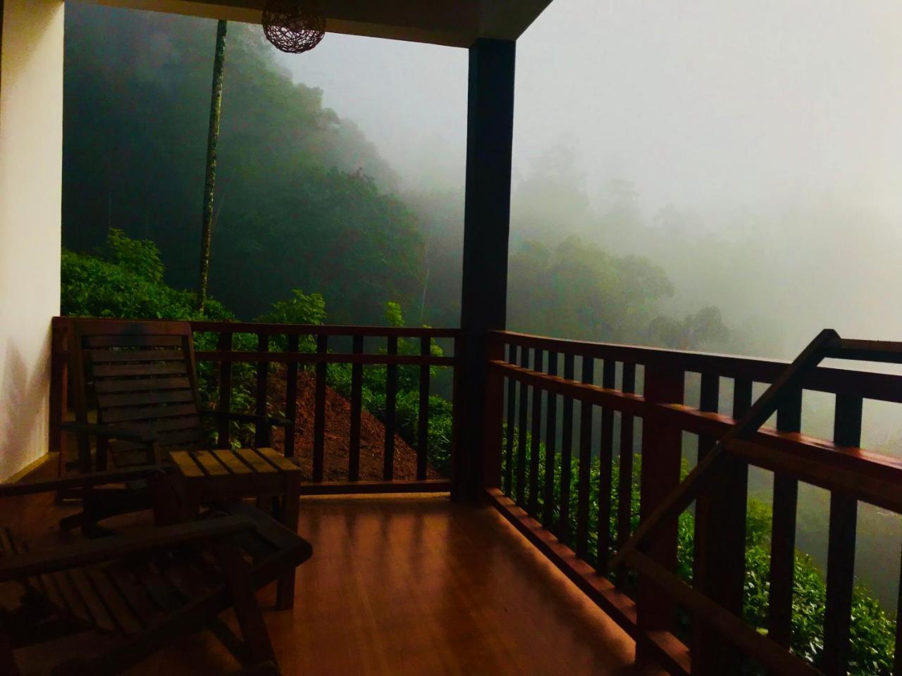 Rainforest Mount Lodge 데니야야 외부 사진