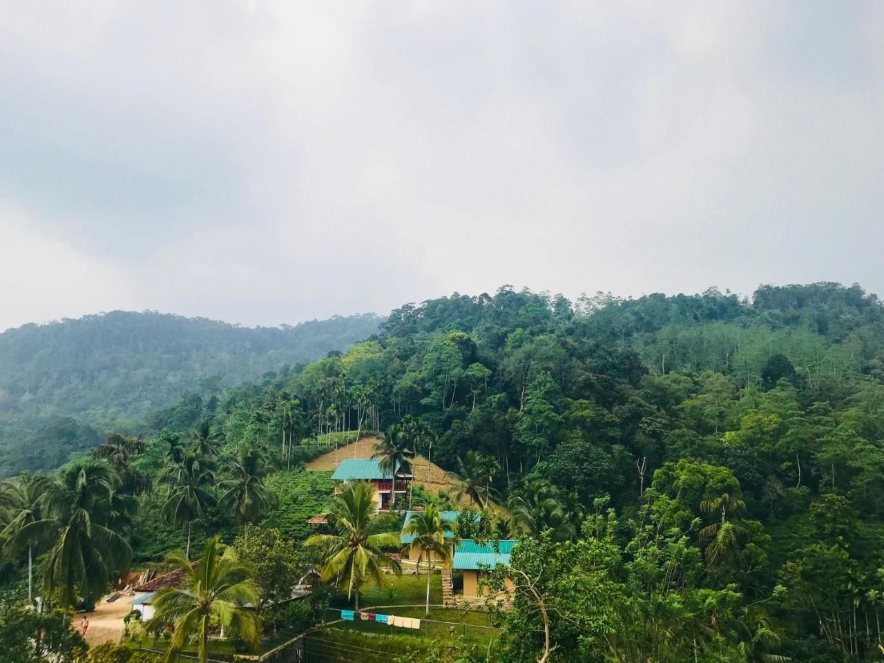 Rainforest Mount Lodge 데니야야 외부 사진